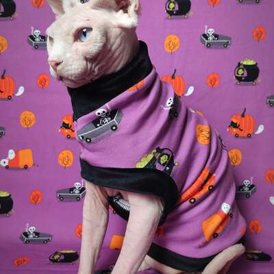 Auto-boo-n - Thumbnail 2