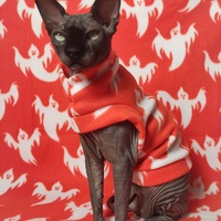 Spooky Ghosts - Thumbnail 1