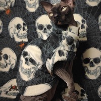 Cracking Skulls - Thumbnail 1