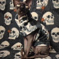 Cracking Skulls - Thumbnail 2