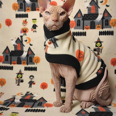 Trick or treat - Thumbnail 5