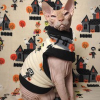 Trick Or Treat - Thumbnail 1