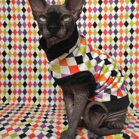 Halloween Jubilee  - Thumbnail 1