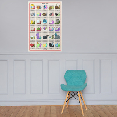 Snail guide poster
