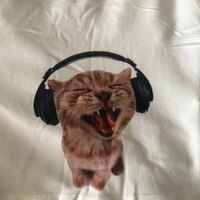 Cat Print Loose Gym Shorts  - Thumbnail 4