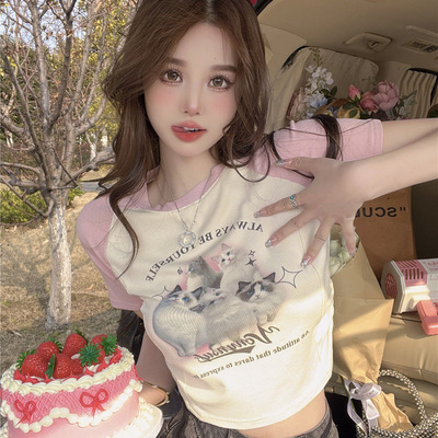 Cat cartoon patchwork print short sleeve t-shirt  - Thumbnail 2