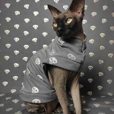 Holographic skulls - Thumbnail 3