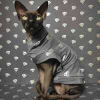 Holographic Skulls - Thumbnail 2