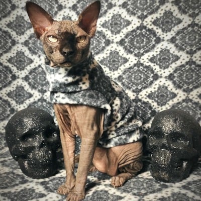 Haunted mansion light - Thumbnail 4