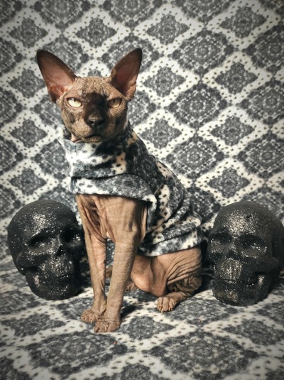 Haunted Mansion Light