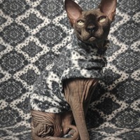 Haunted Mansion Light - Thumbnail 2