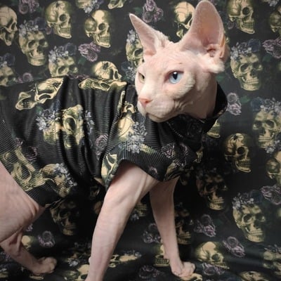 Skulls & flowers ribbed for her pleasure 