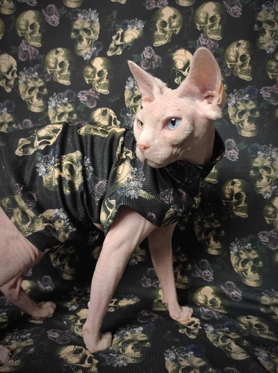 Skulls & Flowers Ribbed For Her Pleasure 