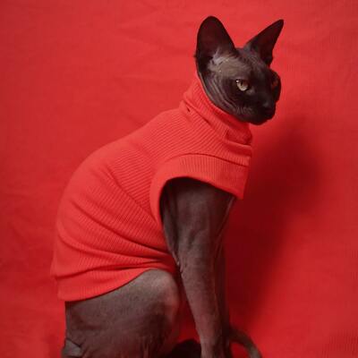 If you call me pumpkin one more time... ribbed for her pleasure  - Thumbnail 2