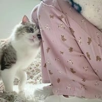 Pink Teddy Bear Print Straight Leg Pants  - Thumbnail 3