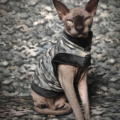 Cauldron of bats ribbed for her pleasure 