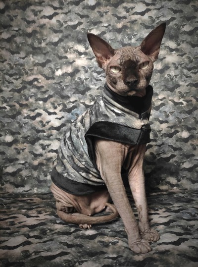 Cauldron Of Bats Ribbed For Her Pleasure 