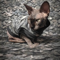 Cauldron Of Bats Ribbed For Her Pleasure  - Thumbnail 1