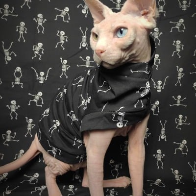 No bones about it - Thumbnail 4