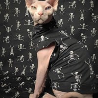 No Bones About It - Thumbnail 1