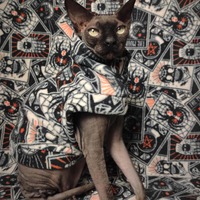 Fortune Teller - Thumbnail 2