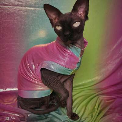 Rainbow mirror - Thumbnail 4