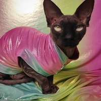 Rainbow Mirror - Thumbnail 2