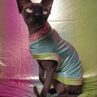 Rainbow Mirror - Thumbnail 1