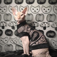 Kitty Stew Lace - Thumbnail 3
