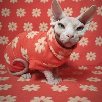 The Brady Bunch - Bathwear - Thumbnail 2