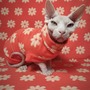 The Brady Bunch - Bathwear-2