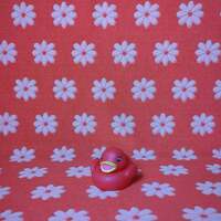 The Brady Bunch - Bathwear - Thumbnail 3