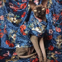 Flower Child Velvet - Thumbnail 2