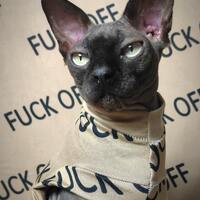 Fuck Off (Khaki) - Sleepwear - Thumbnail 2