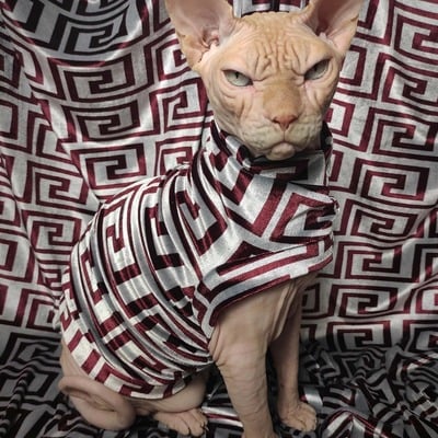 Catligula velvet - Thumbnail 2