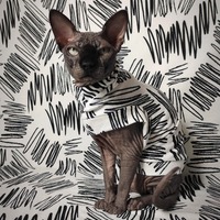 Doodles Sweaterknit - Thumbnail 2