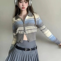 Striped Zipper Knit Cropped Jumper  - Thumbnail 3