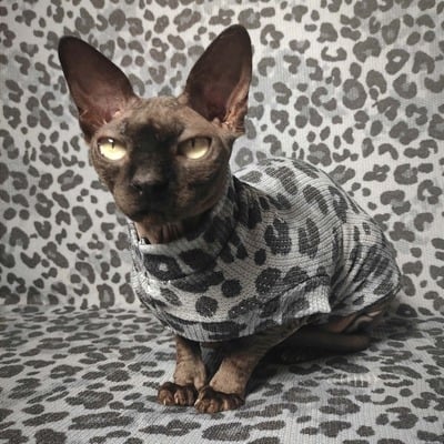 Apex predator thermal - Thumbnail 3