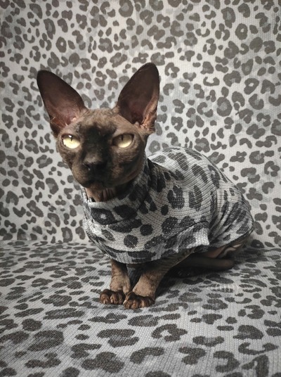 Apex Predator Thermal