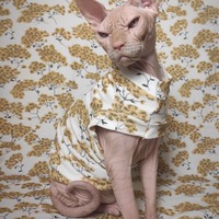 Kyoto Gardens - Thumbnail 2