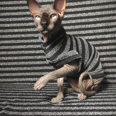 Black metallic stripes - Thumbnail 4