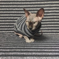 Black Metallic Stripes - Thumbnail 2