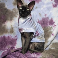 Dystopia - Yeezus - Thumbnail 1