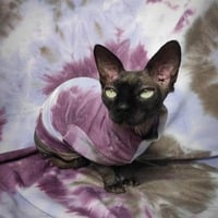 Dystopia - Yeezus - Thumbnail 2