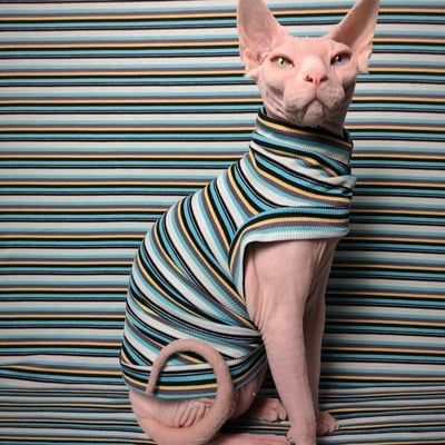  gobstopper ribbed for her pleasure  - Thumbnail 4