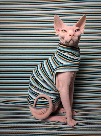  Gobstopper Ribbed For Her Pleasure 