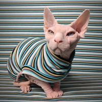  Gobstopper Ribbed For Her Pleasure  - Thumbnail 2