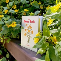 The Bloom Book  - Thumbnail 6