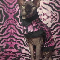 Pink Tiger Stripe - Thumbnail 2