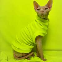 Tennis Ball - Thumbnail 2